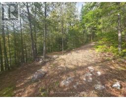 1325 Andek Trail, Highlands East, ON K0M2A0 Photo 17