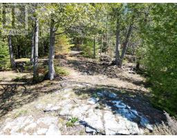 1325 Andek Trail, Highlands East, ON K0M2A0 Photo 20