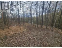 1325 Andek Trail, Highlands East, ON K0M2A0 Photo 21
