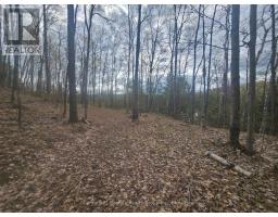 1325 Andek Trail, Highlands East, ON K0M2A0 Photo 25