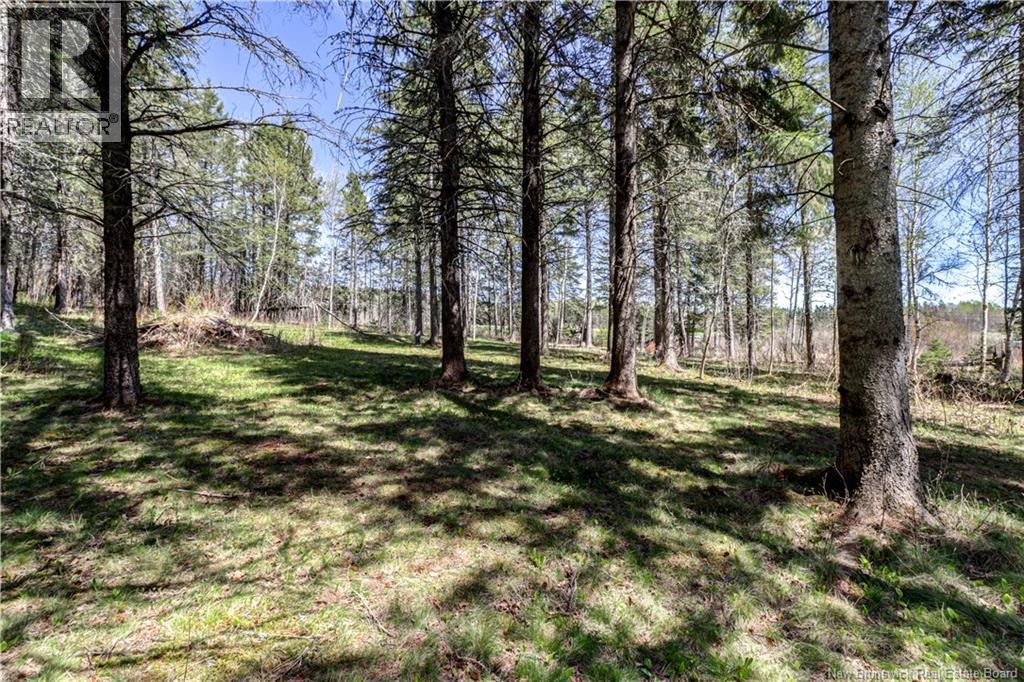 243 Plumweseep Cross Road - 10