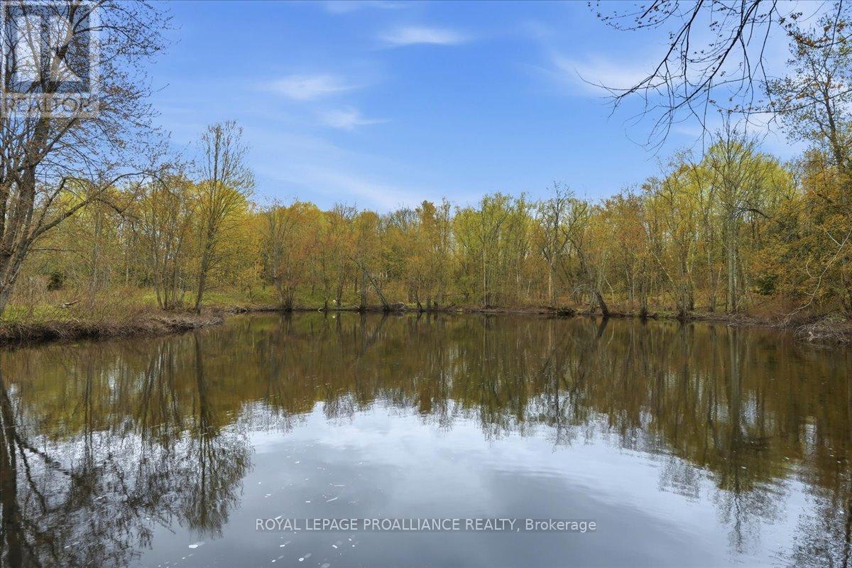 606 BLACK RIVER ROAD - 37