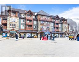 319 321 - 152 Jozo Weider Boulevard, Blue Mountains, ON L9Y0V2 Photo 12