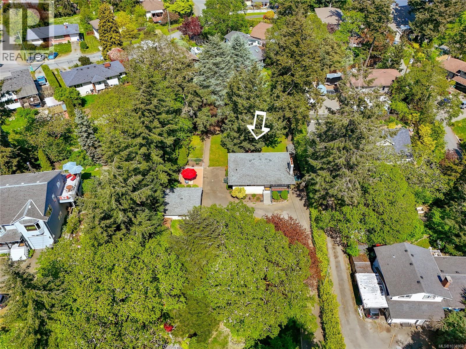 164 Island Hwy - 4