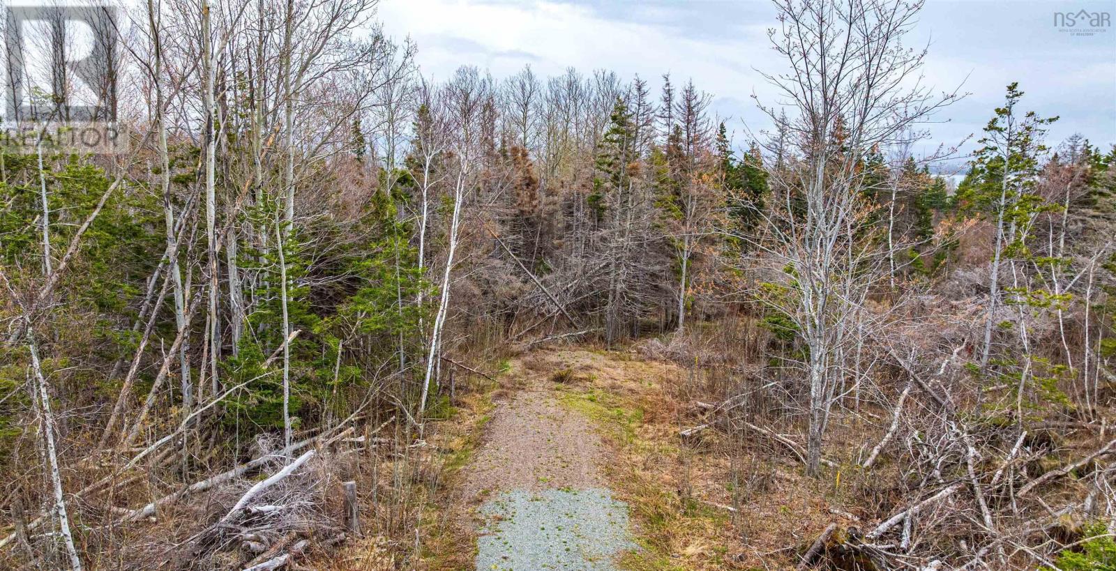 Property 8 of 11 of Lot 26-6 Big Island Road