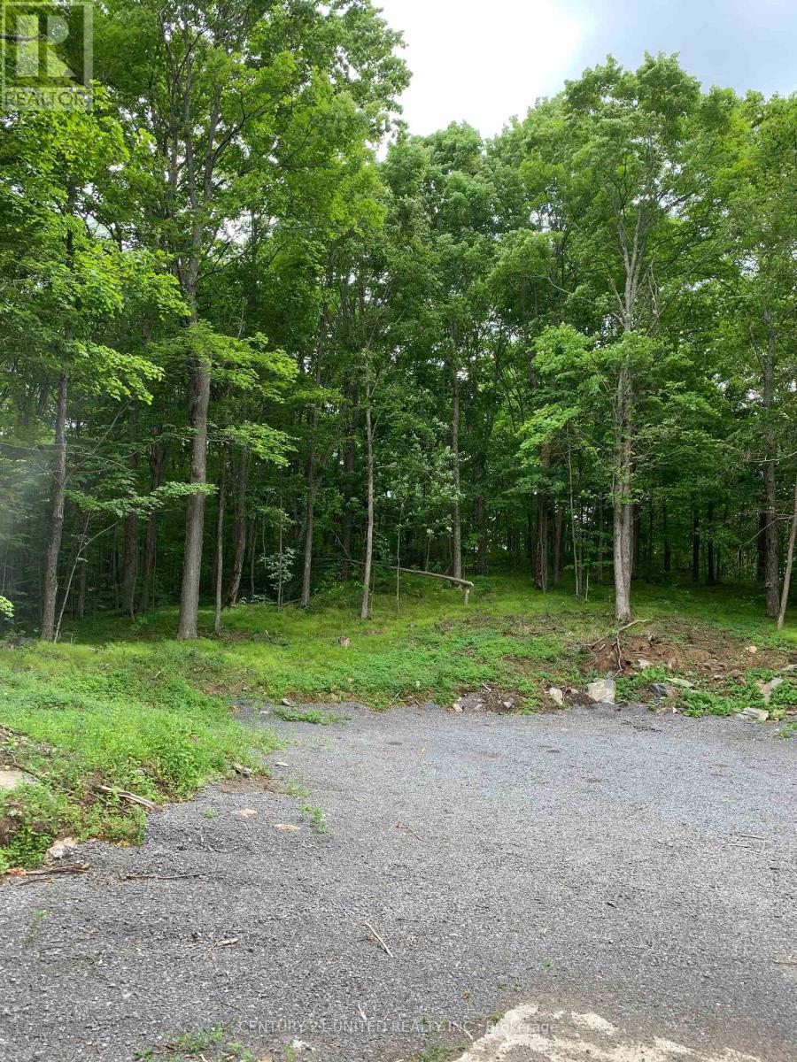1282 VANSICKLE ROAD - 36
