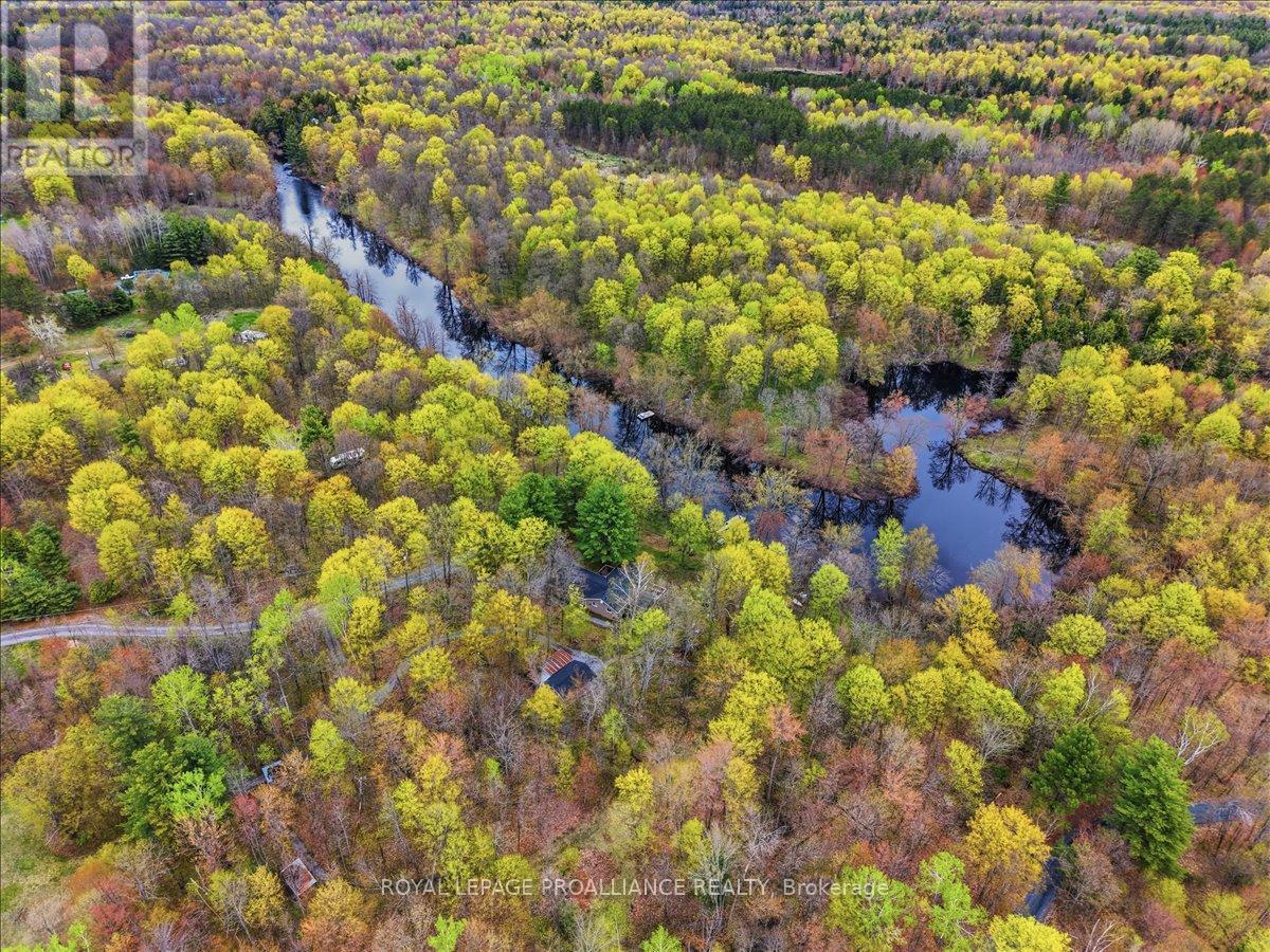606 BLACK RIVER ROAD - 42
