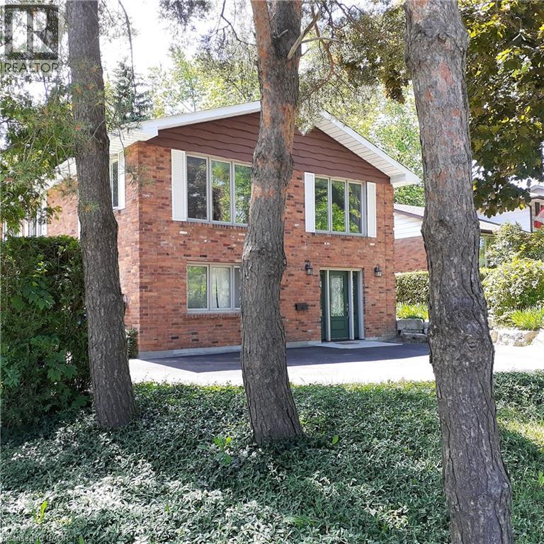 3 SAN PEDRO Drive - 4