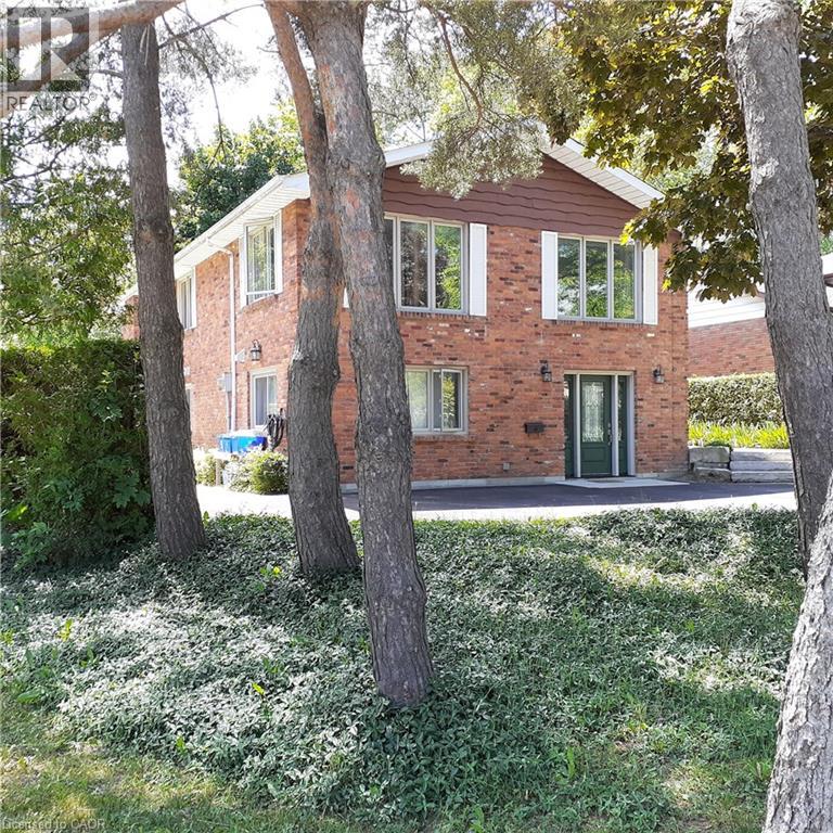 3 SAN PEDRO Drive, Hamilton, Ontario, L9C2C4 — Photo 15