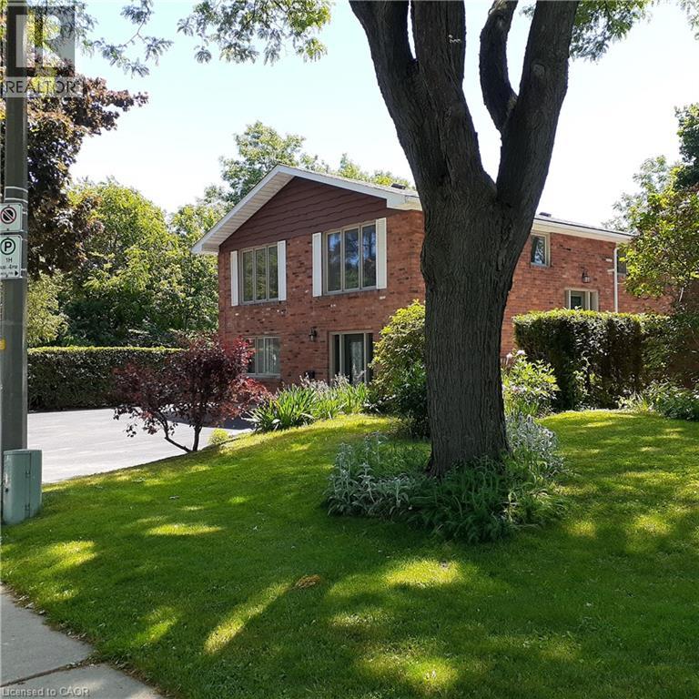 3 SAN PEDRO Drive - 1
