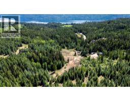 4993 Meadow Creek Road, Celista, BC V0E1M6 Photo 8