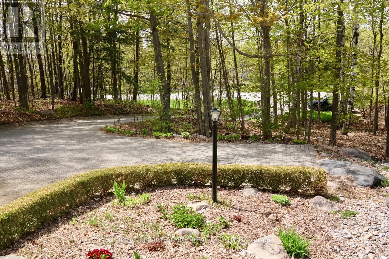 85 AMBLESIDE DRIVE - 4