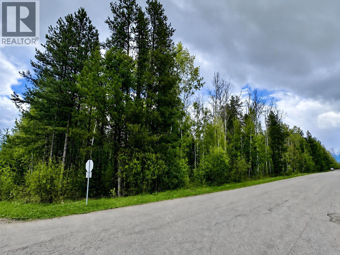 LOT 10 17TH AVENUE, Valemount — photo 3