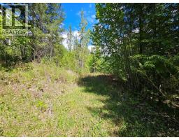 4402 Leopold Road, Scotch Creek, BC V0E1M5 Photo 31