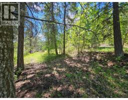 4402 Leopold Road, Scotch Creek, BC V0E1M5 Photo 35