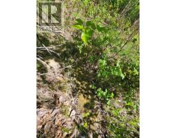 4402 Leopold Road, Scotch Creek, BC V0E1M5 Photo 24