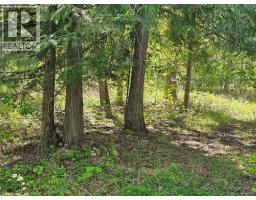 4402 Leopold Road, Scotch Creek, BC V0E1M5 Photo 14