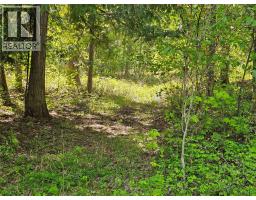 4402 Leopold Road, Scotch Creek, BC V0E1M5 Photo 25