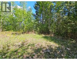 4402 Leopold Road, Scotch Creek, BC V0E1M5 Photo 9