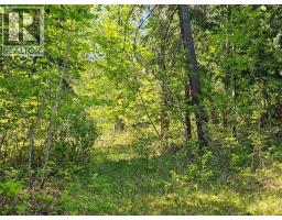 4402 Leopold Road, Scotch Creek, BC V0E1M5 Photo 22