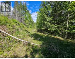 4402 Leopold Road, Scotch Creek, BC V0E1M5 Photo 11