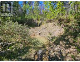 4402 Leopold Road, Scotch Creek, BC V0E1M5 Photo 6