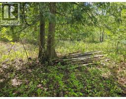 4402 Leopold Road, Scotch Creek, BC V0E1M5 Photo 13