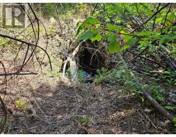4402 Leopold Road, Scotch Creek, BC V0E1M5 Photo 8