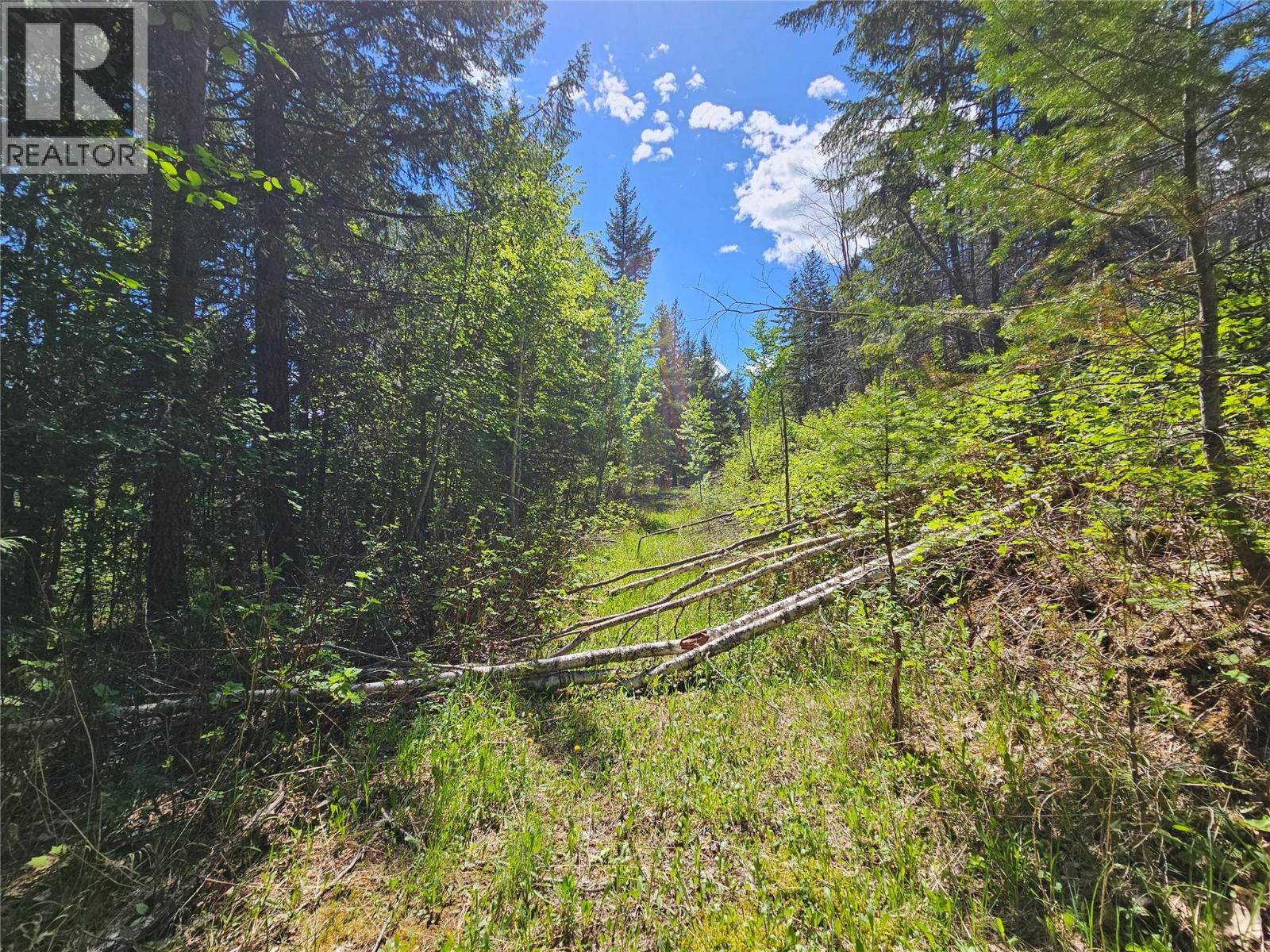  4402 Leopold Road, Scotch Creek
