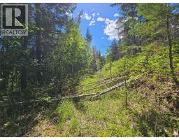 4402 Leopold Road, Scotch Creek, BC V0E1M5 Photo 33
