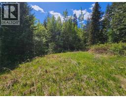 4402 Leopold Road, Scotch Creek, BC V0E1M5 Photo 7