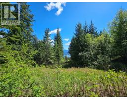 4402 Leopold Road, Scotch Creek, BC V0E1M5 Photo 28