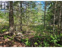 4402 Leopold Road, Scotch Creek, BC V0E1M5 Photo 29