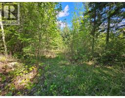 4402 Leopold Road, Scotch Creek, BC V0E1M5 Photo 32