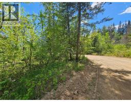 4402 Leopold Road, Scotch Creek, BC V0E1M5 Photo 15