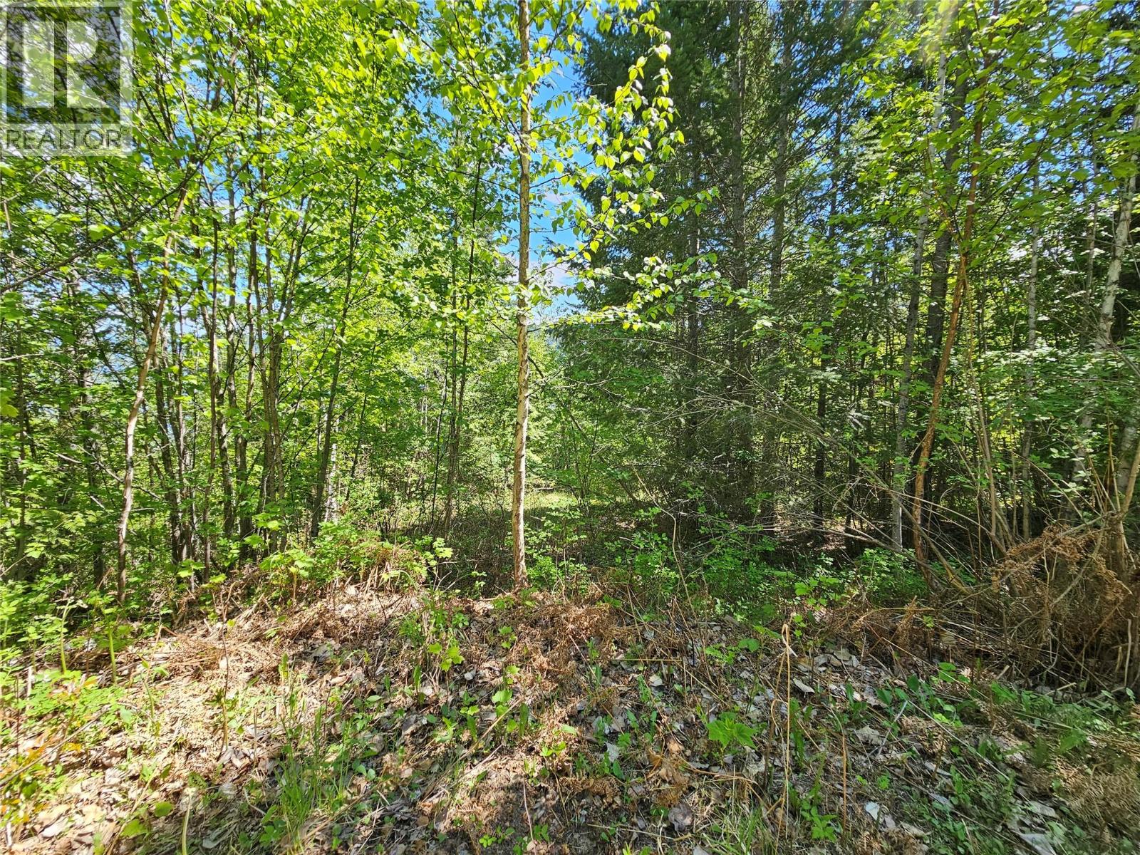  4402 Leopold Road, Scotch Creek