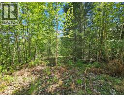 4402 Leopold Road, Scotch Creek, BC V0E1M5 Photo 17