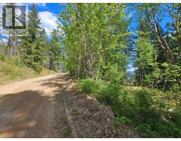 4402 Leopold Road, Scotch Creek, BC V0E1M5 Photo 30