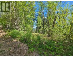 4402 Leopold Road, Scotch Creek, BC V0E1M5 Photo 36
