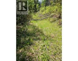4402 Leopold Road, Scotch Creek, BC V0E1M5 Photo 26