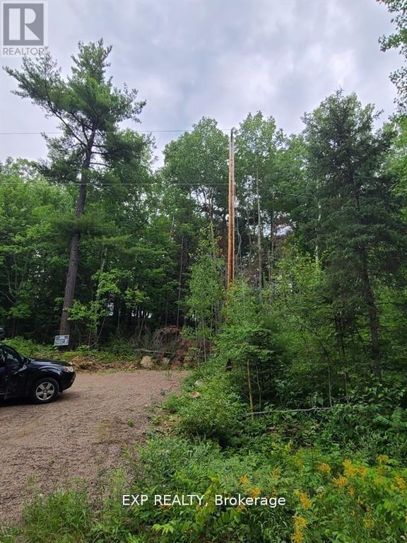 20 Peplinskie Homestead Road — photo 19