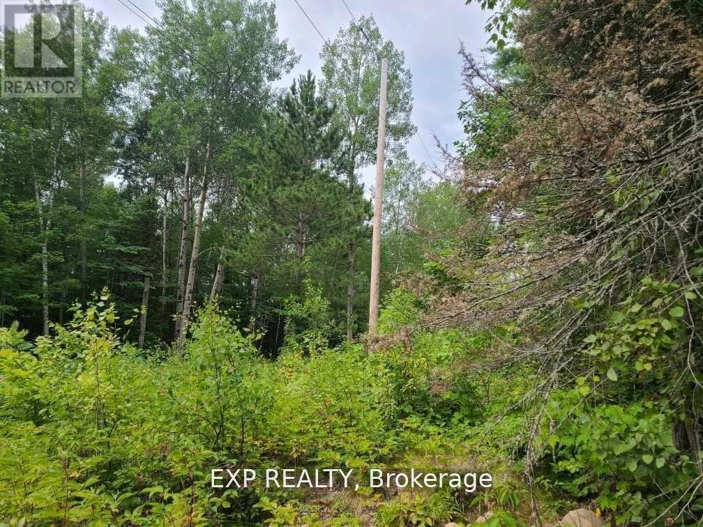 20 Peplinskie Homestead Road — photo 23