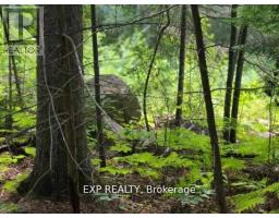 20 Peplinskie Homestead Road, Madawaska Valley, ON K0J1B0 Photo 22