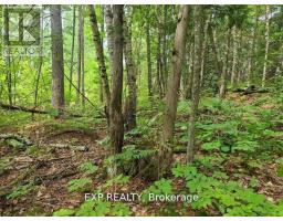 20 Peplinskie Homestead Road, Madawaska Valley, ON K0J1B0 Photo 8