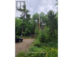 20 Peplinskie Homestead Road, Madawaska Valley, ON K0J1B0 Photo 21