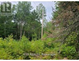 20 Peplinskie Homestead Road, Madawaska Valley, ON K0J1B0 Photo 12