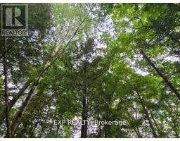 20 Peplinskie Homestead Road, Madawaska Valley, ON K0J1B0 Photo 16