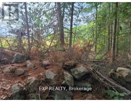 20 Peplinskie Homestead Road, Madawaska Valley, ON K0J1B0 Photo 20