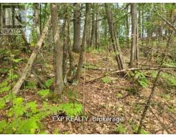 20 Peplinskie Homestead Road, Madawaska Valley, ON K0J1B0 Photo 7
