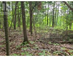 20 Peplinskie Homestead Road, Madawaska Valley, ON K0J1B0 Photo 13